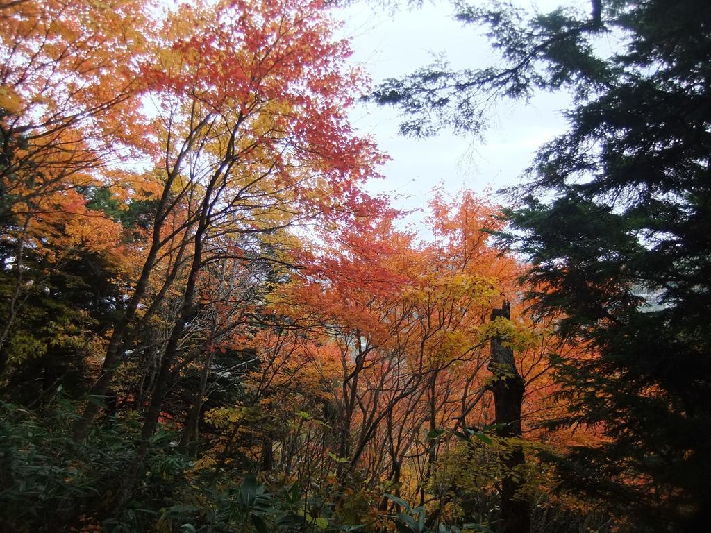 Shiga Park Hotel Yamanouchi  Eksteriør bilde