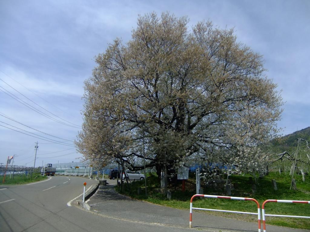 Shiga Park Hotel Yamanouchi  Eksteriør bilde