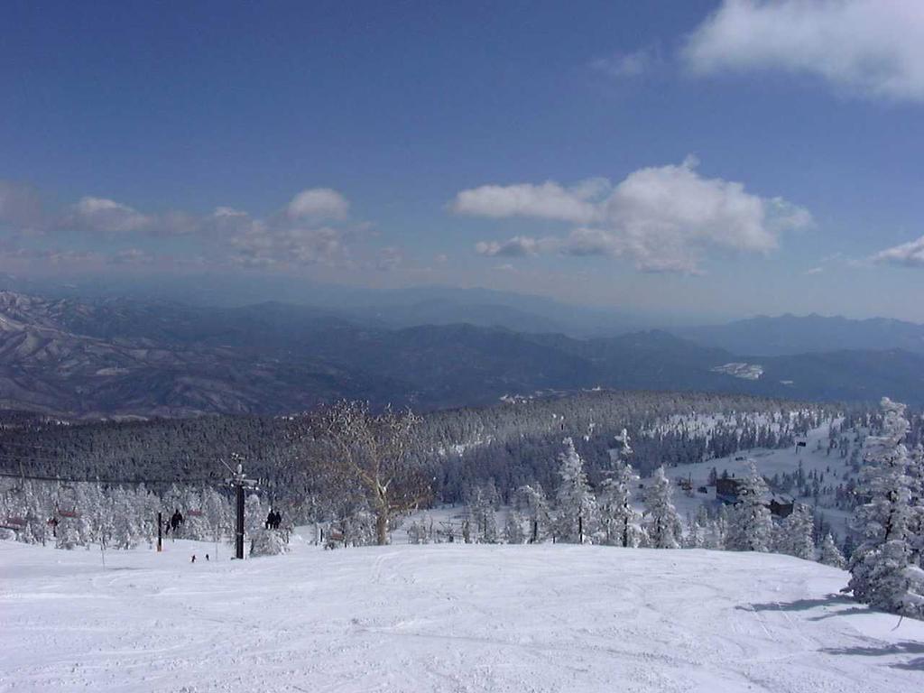 Shiga Park Hotel Yamanouchi  Eksteriør bilde